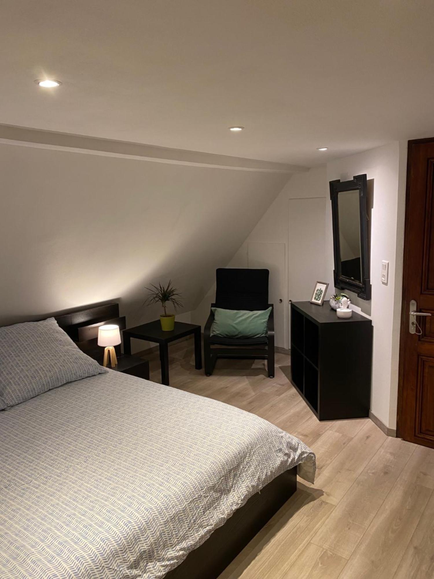 Ferienwohnung Le 128, Duplex Alsacien 10 Personnes, Piscine Horbourg Exterior foto